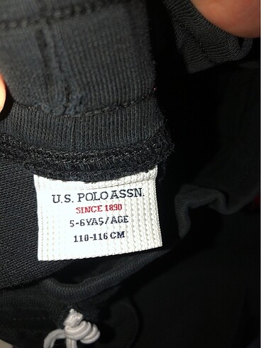 U.S Polo Assn. Şort