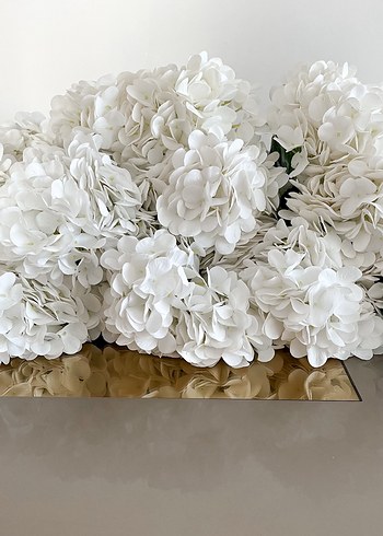 Yapay ortanca - Görsel 2