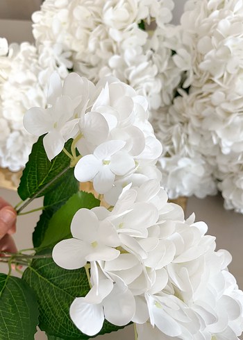 Yapay ortanca - Görsel 5