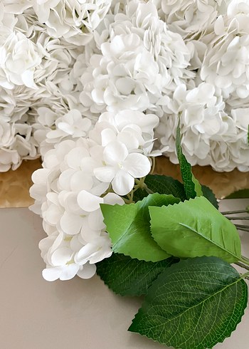 Yapay ortanca - Görsel 8