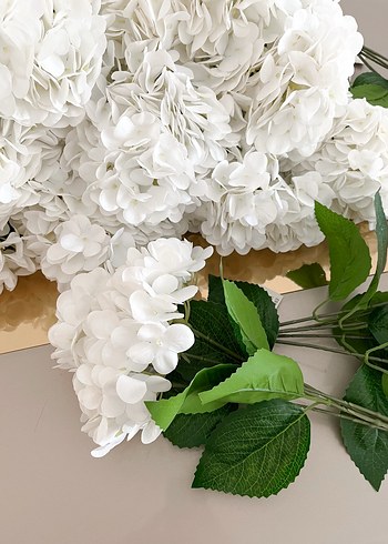 Yapay ortanca - Görsel 9