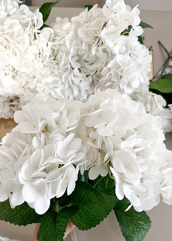 Yapay ortanca - Görsel 7