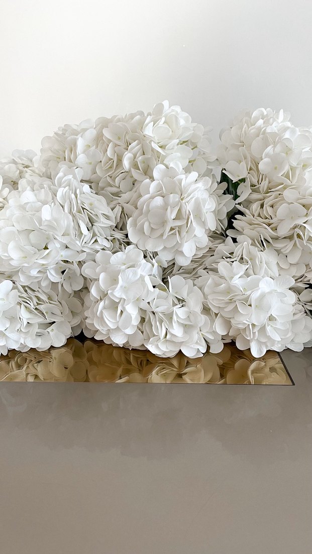 Yapay ortanca - Görsel 2