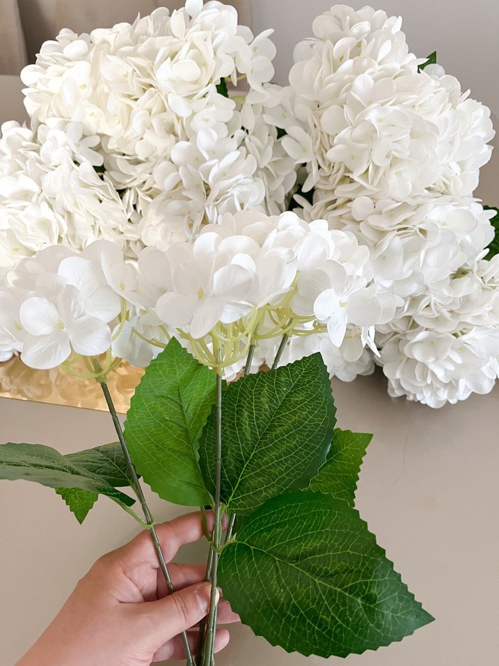 Yapay ortanca - Görsel 4