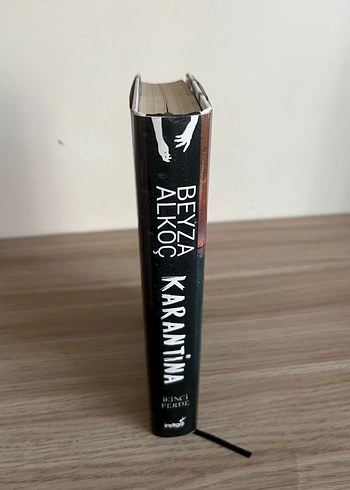 Karantina - Beyza Alkoç Romanı