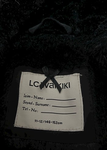 Kürk Detaylı Siyah Kadın Kışlık Mont - Görsel 9