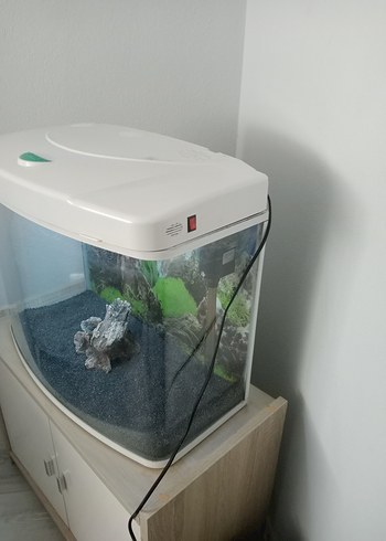 Akvaryum 50lt herşey dahil tek eksik balik