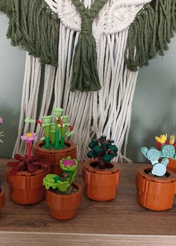 Diğer Lego Botanical Collection Mini Bitkiler 758 Parça