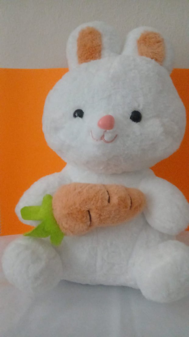 Beyaz Peluş Tavşan Oyuncak - Görsel 4