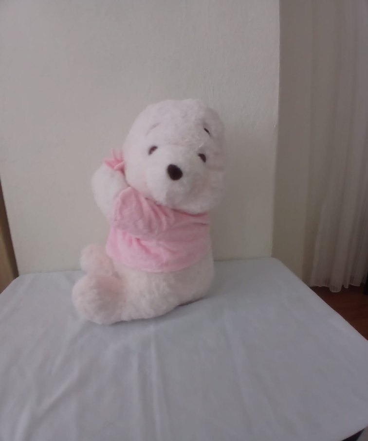 Pembe Peluş Oyuncak Ayıcık - Görsel 3