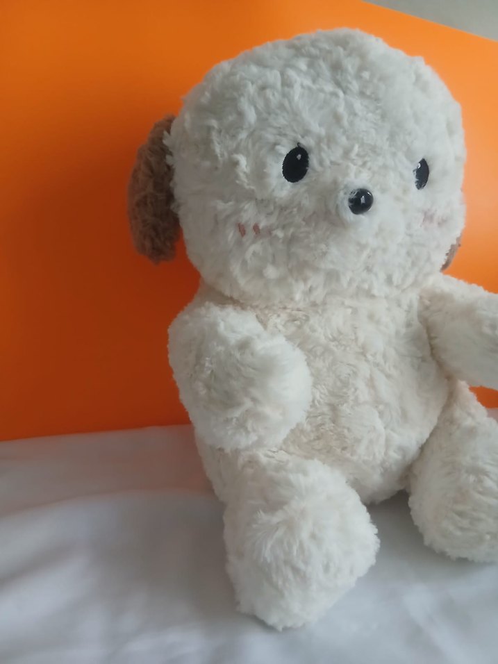 Beyaz Peluş Oyuncak Köpek - Görsel 4