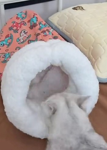 Peluş Kedi Yatağı - Görsel 2