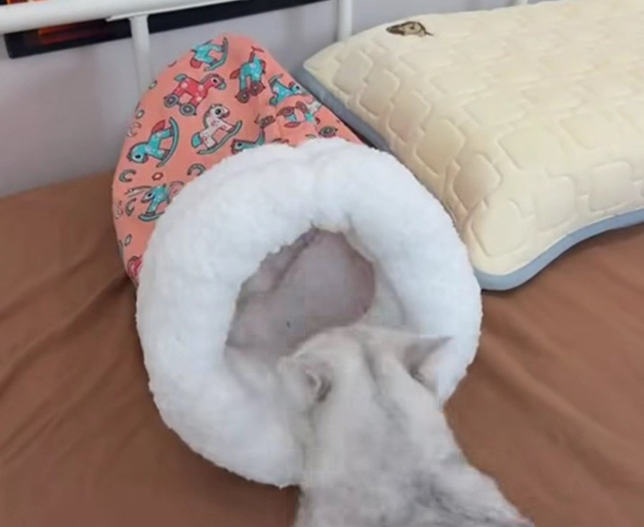 Peluş Kedi Yatağı - Görsel 2