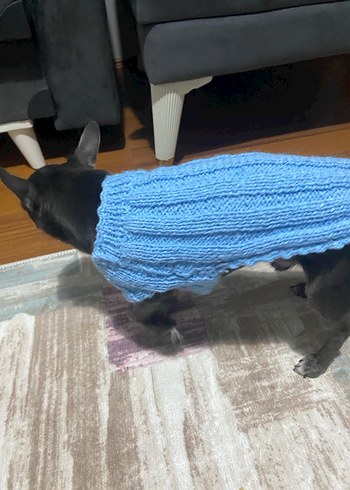 Mavi Renk Örgü Köpek Kazağı - Görsel 3