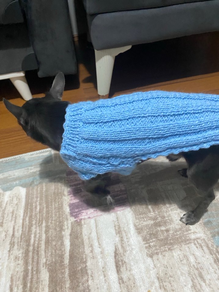 Mavi Renk Örgü Köpek Kazağı - Görsel 3