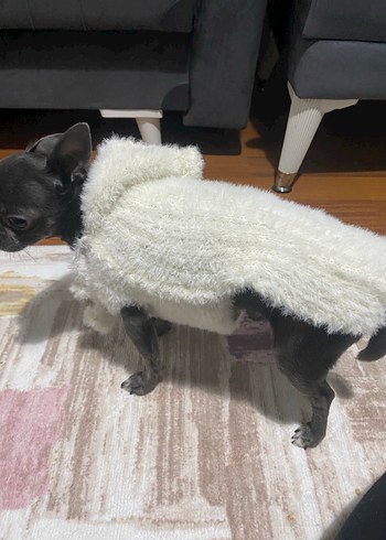 Beyaz  Desenli Kürklü Köpek Kıyafeti - Görsel 2