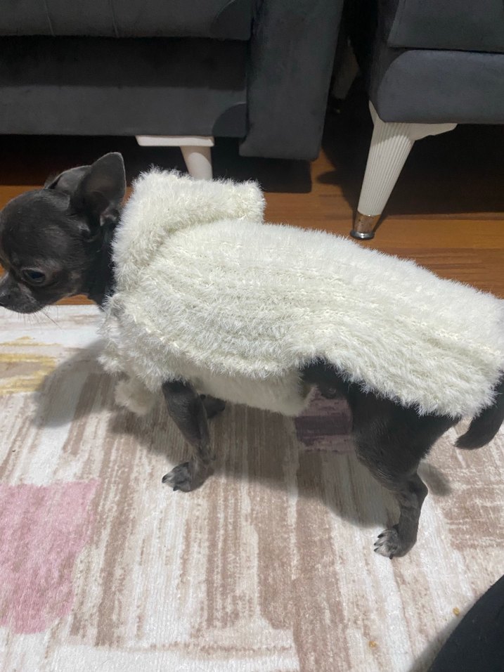 Beyaz  Desenli Kürklü Köpek Kıyafeti - Görsel 2