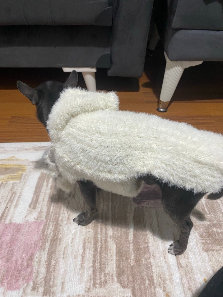 Beyaz  Desenli Kürklü Köpek Kıyafeti - Görsel 5