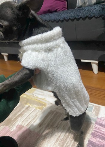 Beyaz Kürklü Normcore Köpek Kıyafeti - Görsel 2