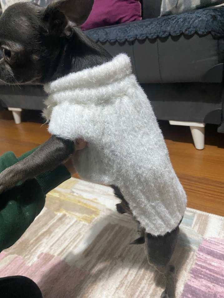 Beyaz Kürklü Normcore Köpek Kıyafeti - Görsel 2