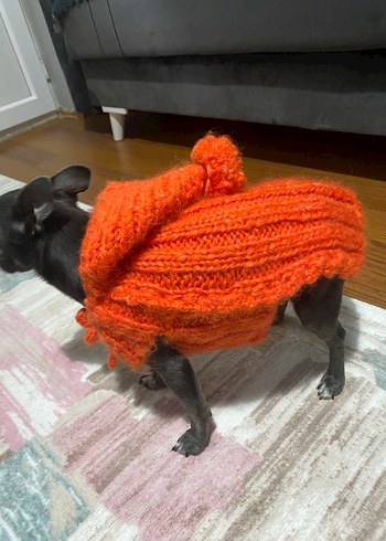 Turuncu  Desenli Örgü Köpek Kıyafeti - Görsel 3