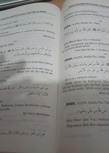 Câmiü's-Sağîr Muhtasarı, Tercüme ve Şerhi - Görsel 4