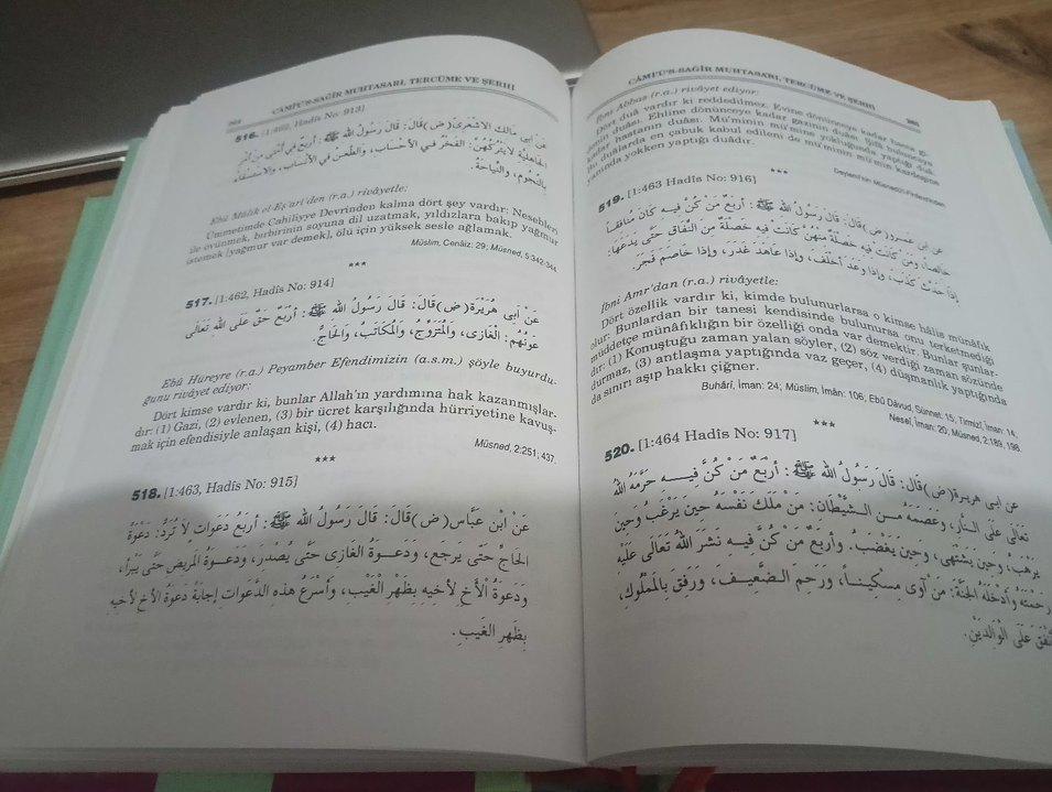Câmiü's-Sağîr Muhtasarı, Tercüme ve Şerhi - Görsel 3
