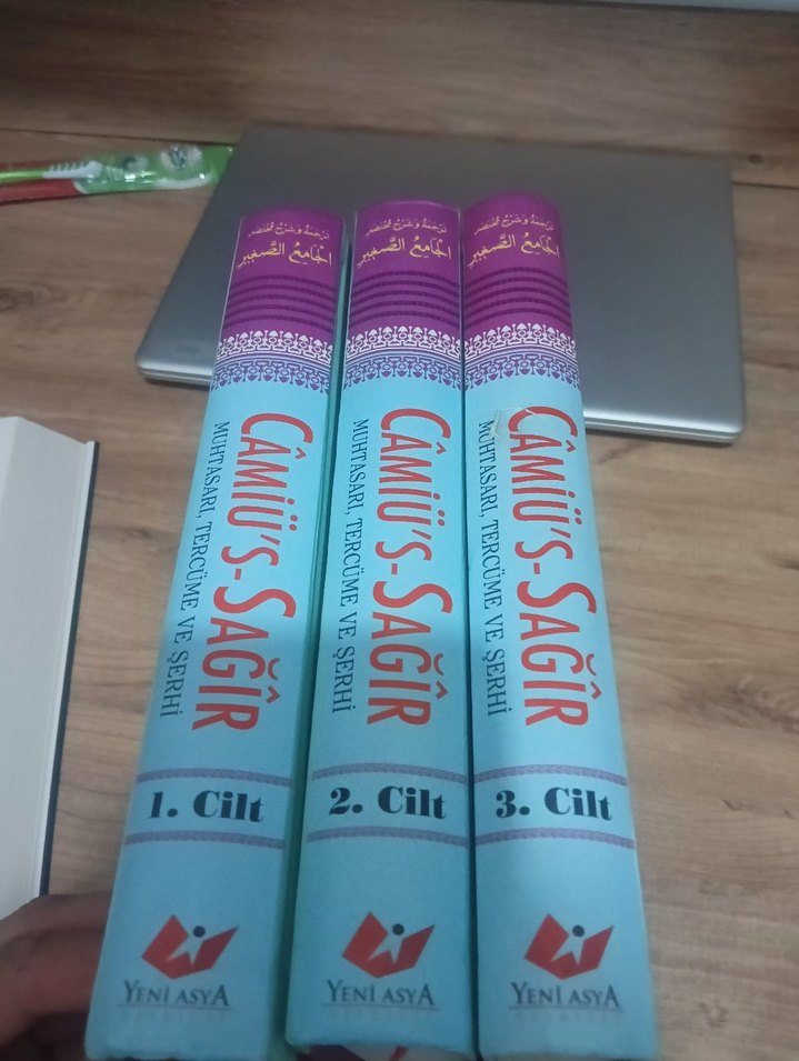 Câmiü's-Sağîr Muhtasarı, Tercüme ve Şerhi - Görsel 2