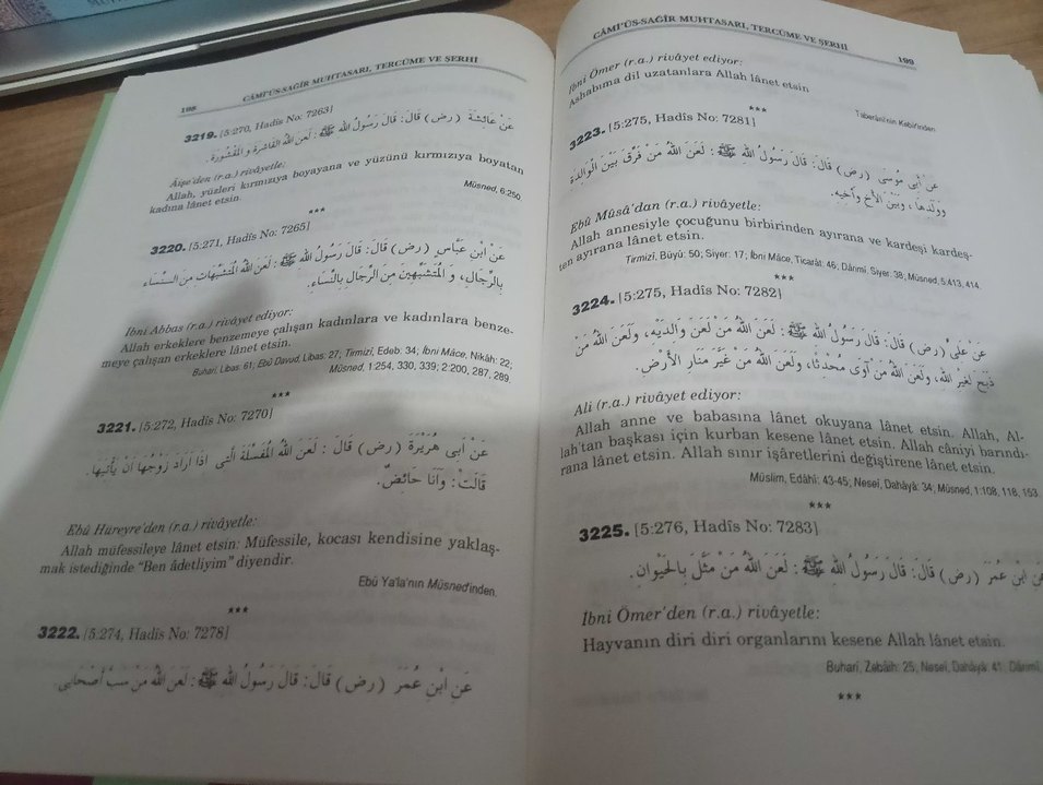 Câmiü's-Sağîr Muhtasarı, Tercüme ve Şerhi - Görsel 4