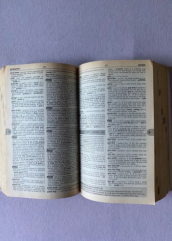 Longman Active Study Uluslararası Öğrenci Sözlüğü - Görsel 2