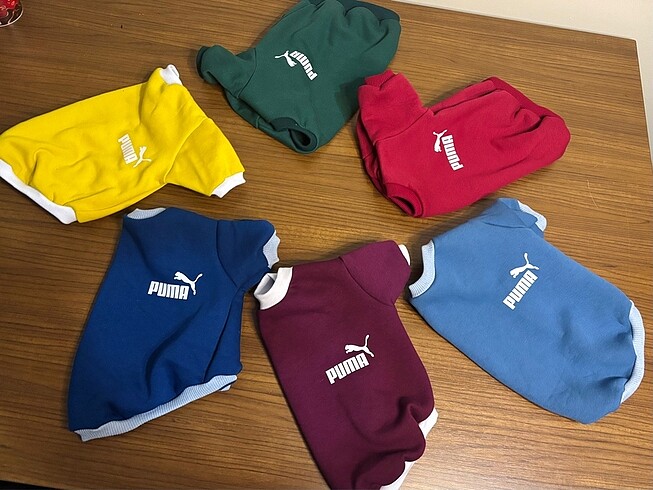 Köpek sweat