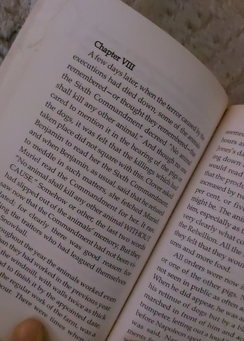 Beden İngilizce Fırsat kitap- Animal Farm Romanı