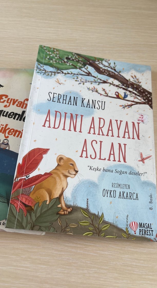 Çocuk Kitapları Seti - 4 Kitap - Görsel 2