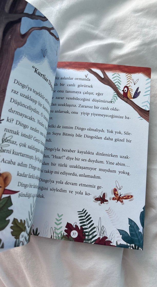 Adını Arayan Aslan - Serhan Kansu - Görsel 3