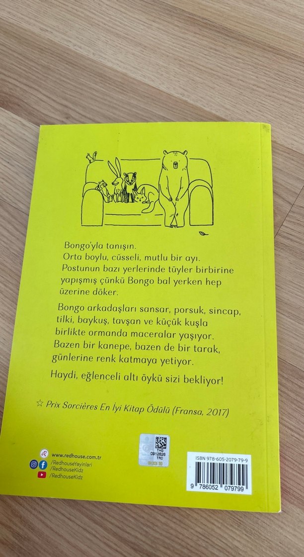 Bongo Ormanın Biricik Ayısı - Delphine Perret - Görsel 4