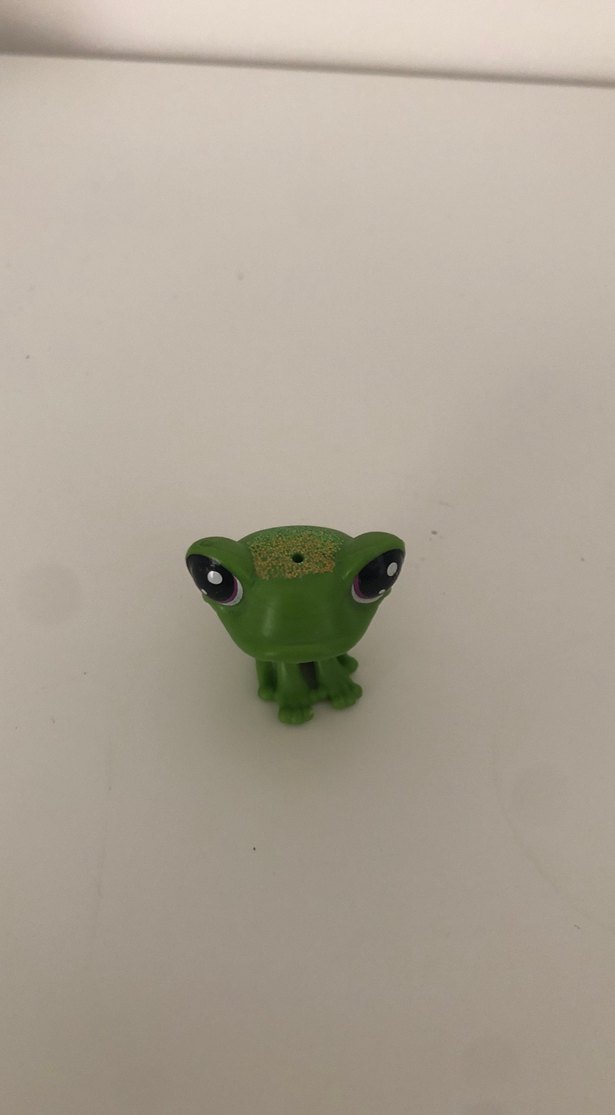 LPS simli kurbağa - Görsel 4