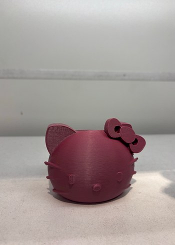 Beden pembe Renk Hello Kitty Kalemlik