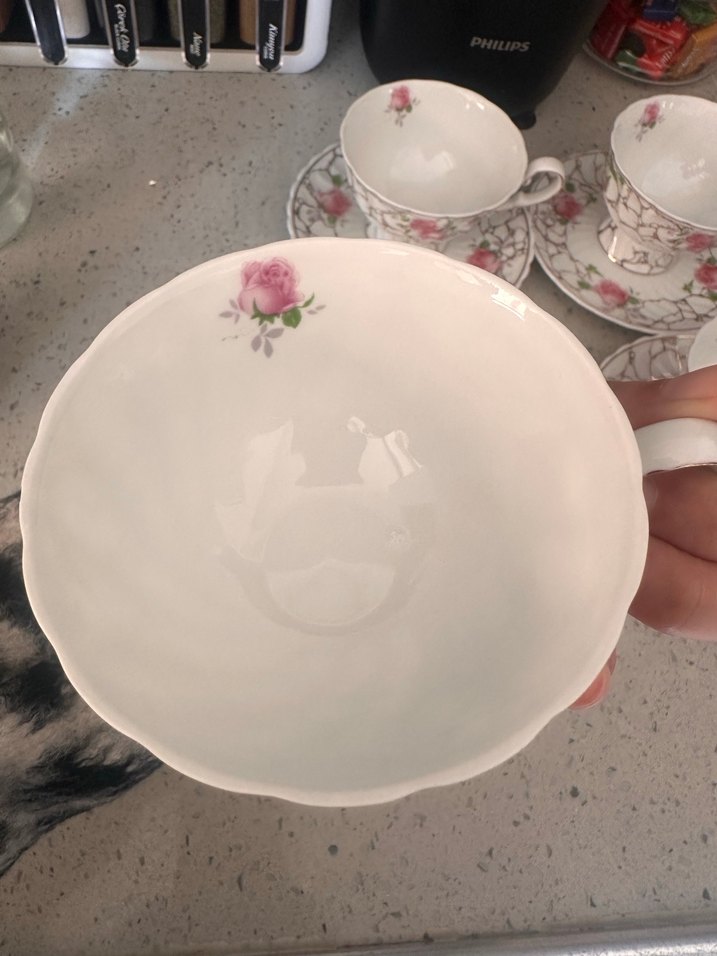 Pastel Gül Desenli Porselen Fincan ve Tabak - Görsel 5