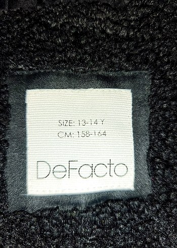 Defacto marka erkek çocuk mont - Görsel 6