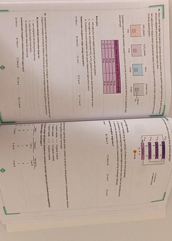 Beden Renk 10. Sınıf Tekrar Testleri 2 Kitabı