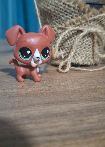 LPS küçük orijinal köpek miniş - Görsel 4