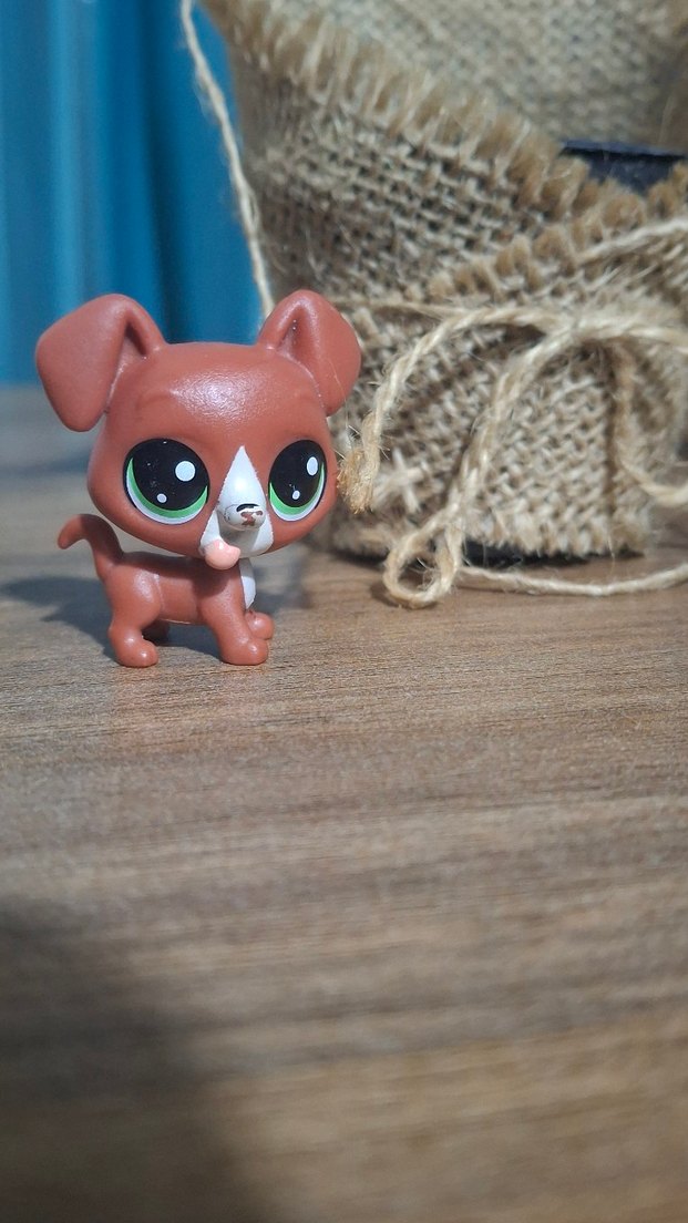 LPS küçük orijinal köpek miniş - Görsel 4