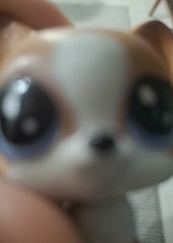 LPS köpek miniş - Görsel 5