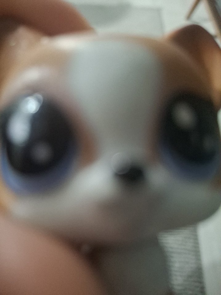 LPS köpek miniş - Görsel 5