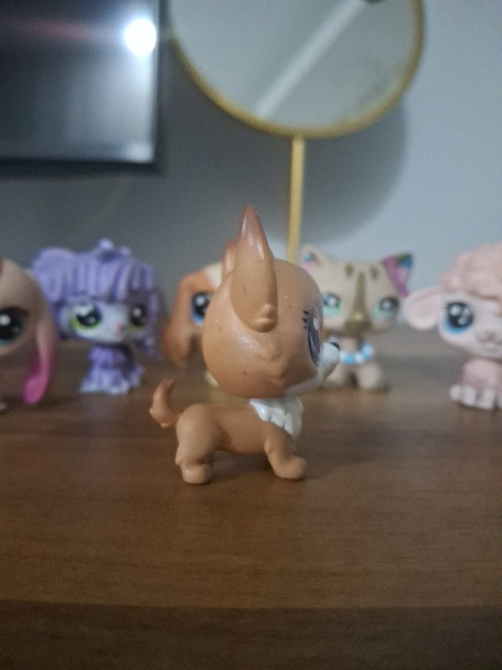 LPS köpek miniş - Görsel 2