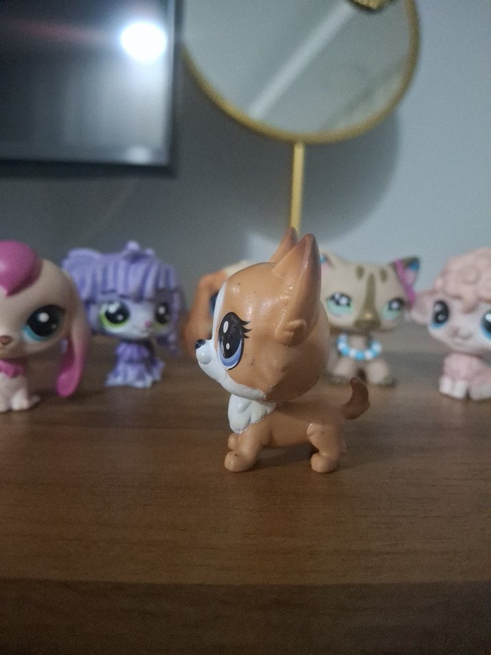 LPS köpek miniş - Görsel 4