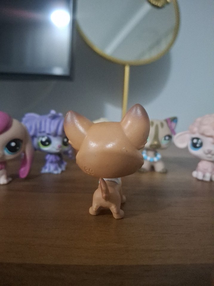 LPS köpek miniş - Görsel 3