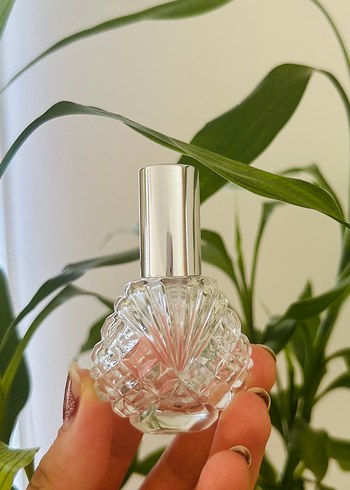 Deniz kabuğu sprey mini boş kolonyalık - Görsel 5