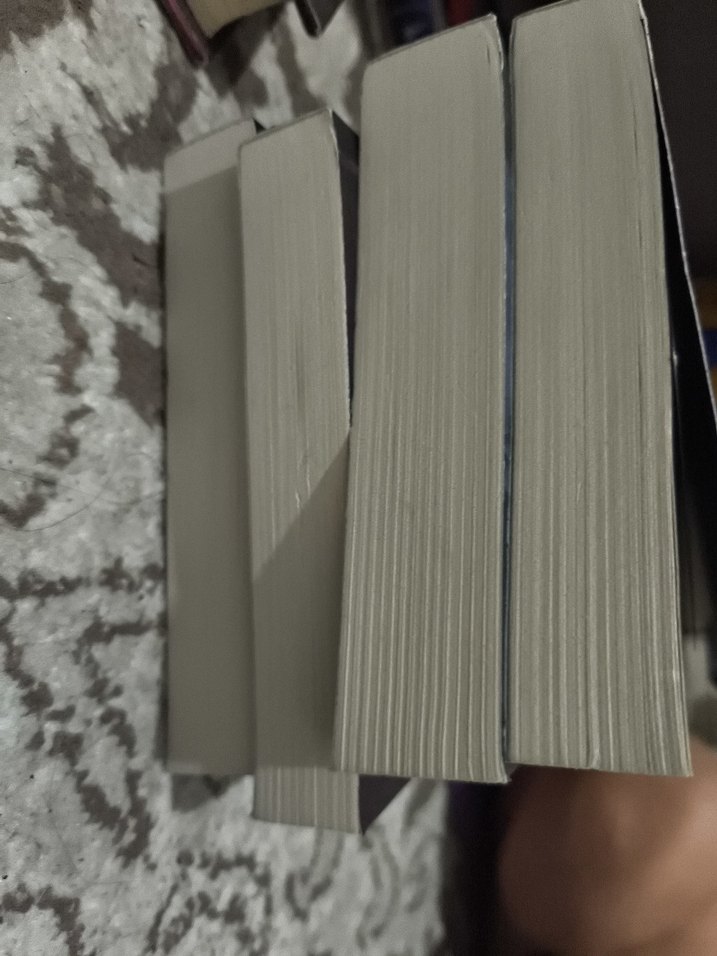 Maral Atmaca'nın Yaralasar Roman Serisi - Görsel 3