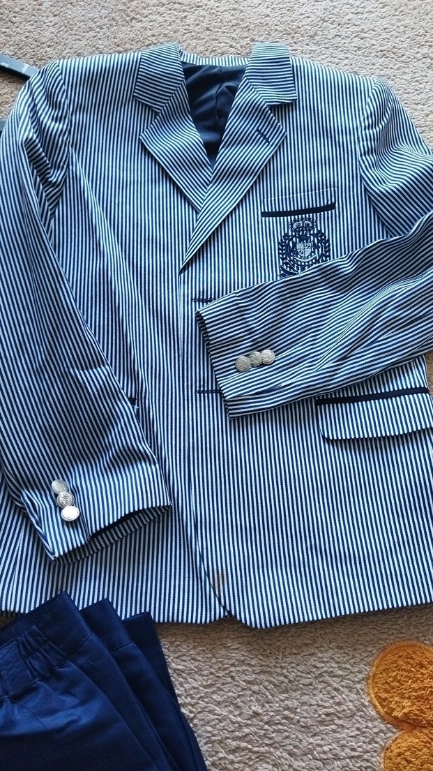 Düğmeli Çizgili Mavi Erkek çocuk Takım Elbise - Görsel 2